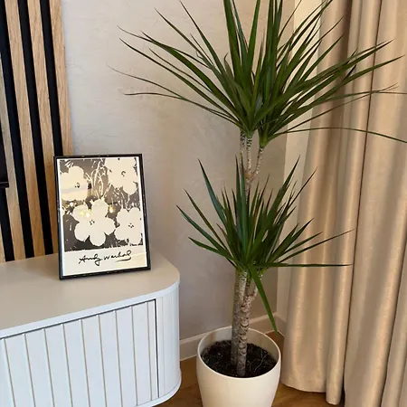 Popstay Lägenhet